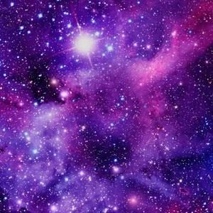 Meet your Posher, Douglas